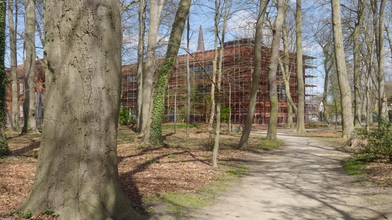 春の入会キャンペーンのイメージ画像